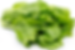 Saag_Rayo_512x.png