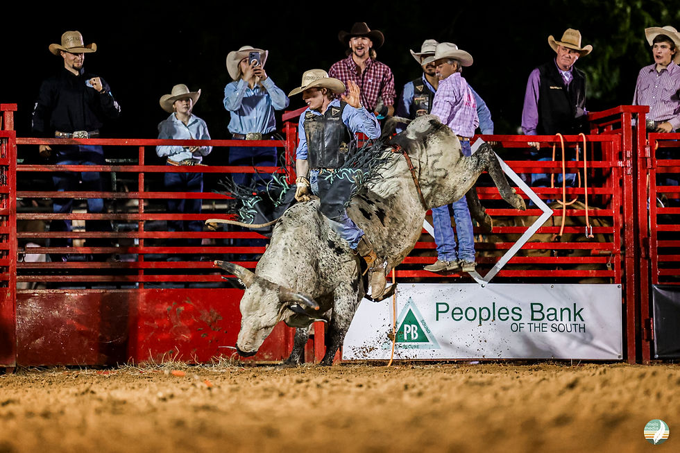 Bull rider on a bucking bull at a rodeo