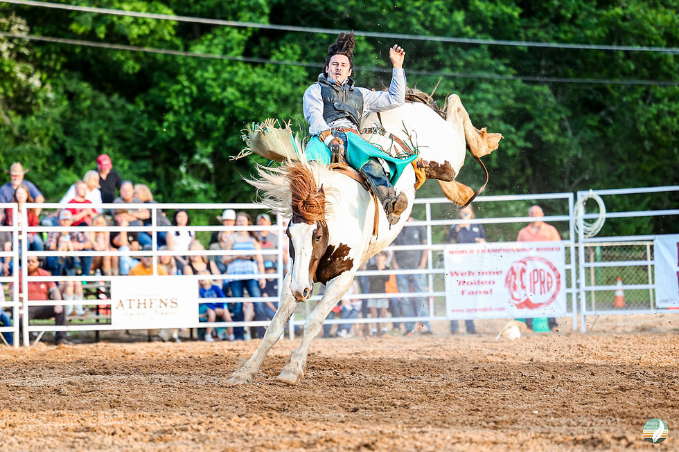 Rider on a bucking horse at Deepwell Farms Pro Rodeo