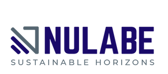 Nulabe Logo_Grey_2.png