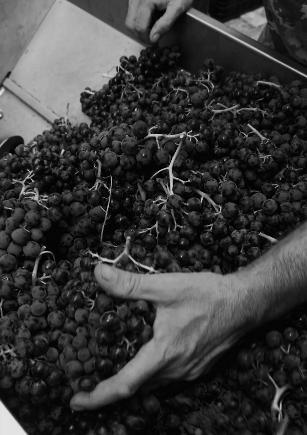 vins fets a mà artesans
