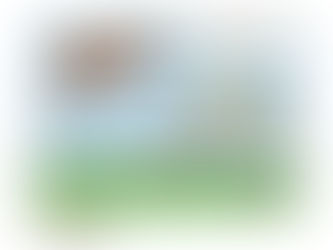 Horse Killing on Camp in the US - when summer camp became surreal.