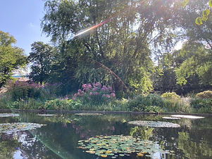 Park Planten un Blomen in Hamburg