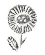 BLACK_FLOWER_2X2 (1).png