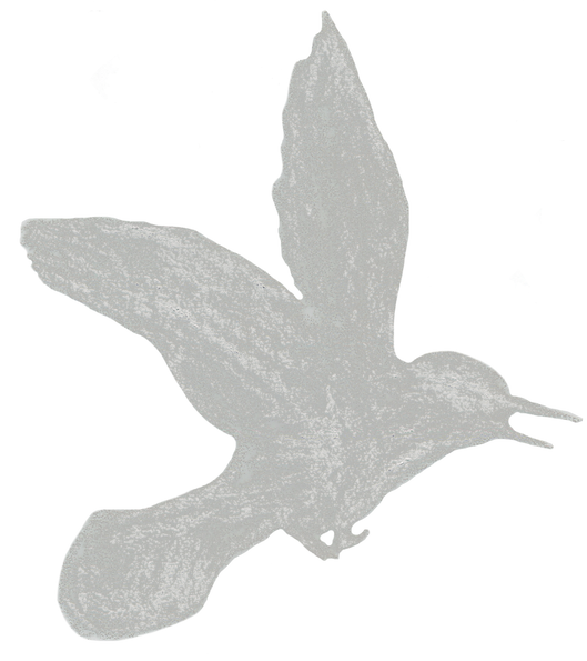 GREY_BIRD_2X2.png