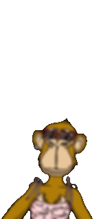 Meirav.GIF