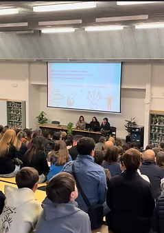 Screenshot 2025-11-20 alle 20.29.16.png