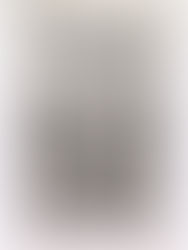 The Canadian Mosaic, Archival Silences, and an Indigenous Presence in Banff