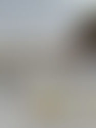 A Mountain of Miniatures