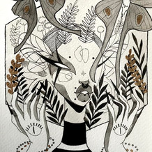 Serie Baimes-Comet Moth