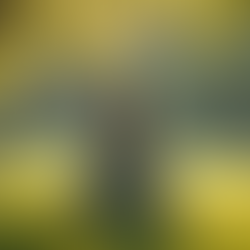 Maîtriser ses émotions grâce à la thérapie : techniques de gestion des émotions