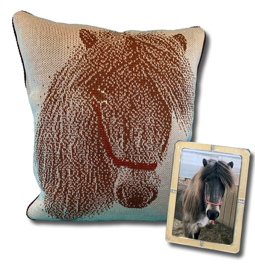 Thumbnail: Custom Image Pillow