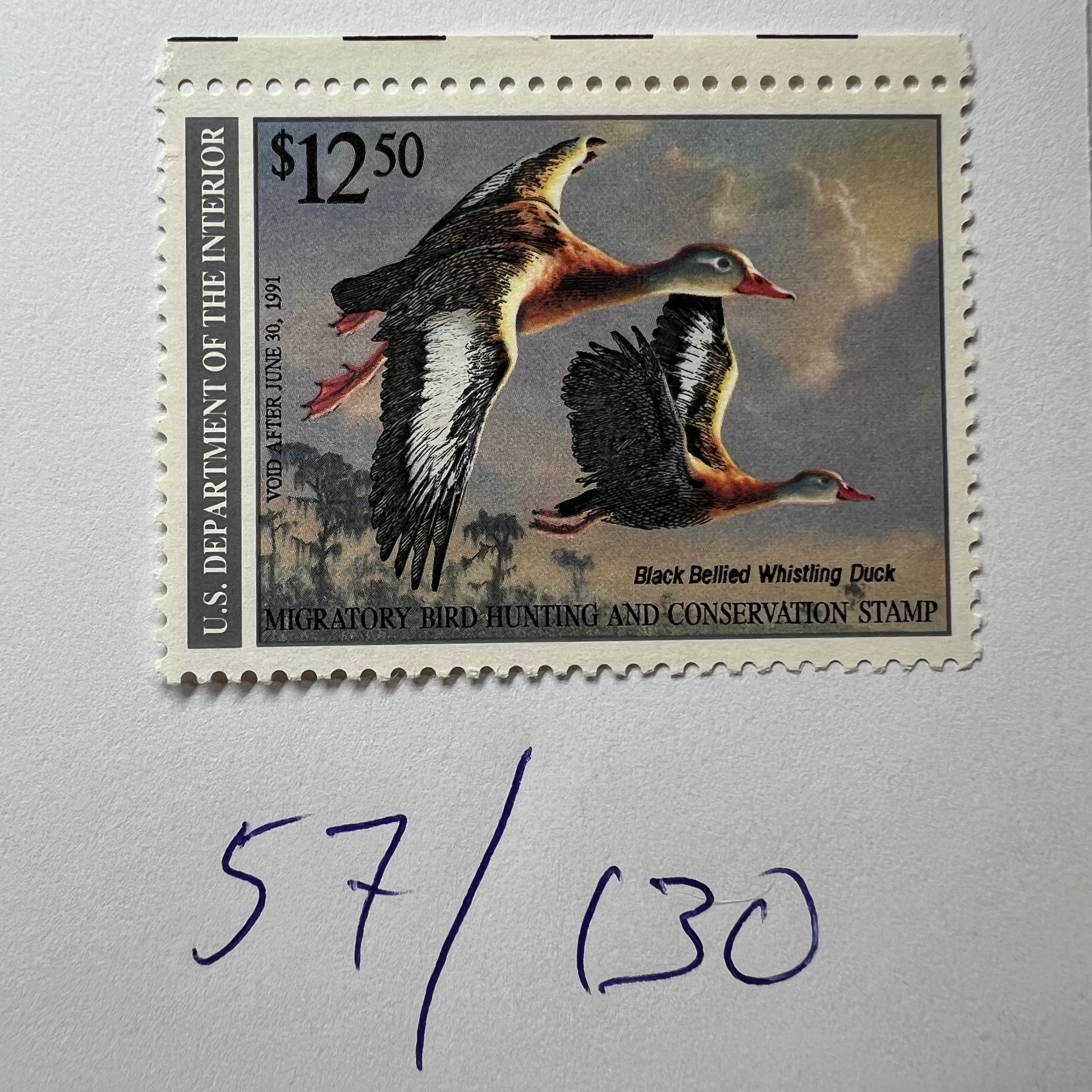 USA Ducks Scott #RW57