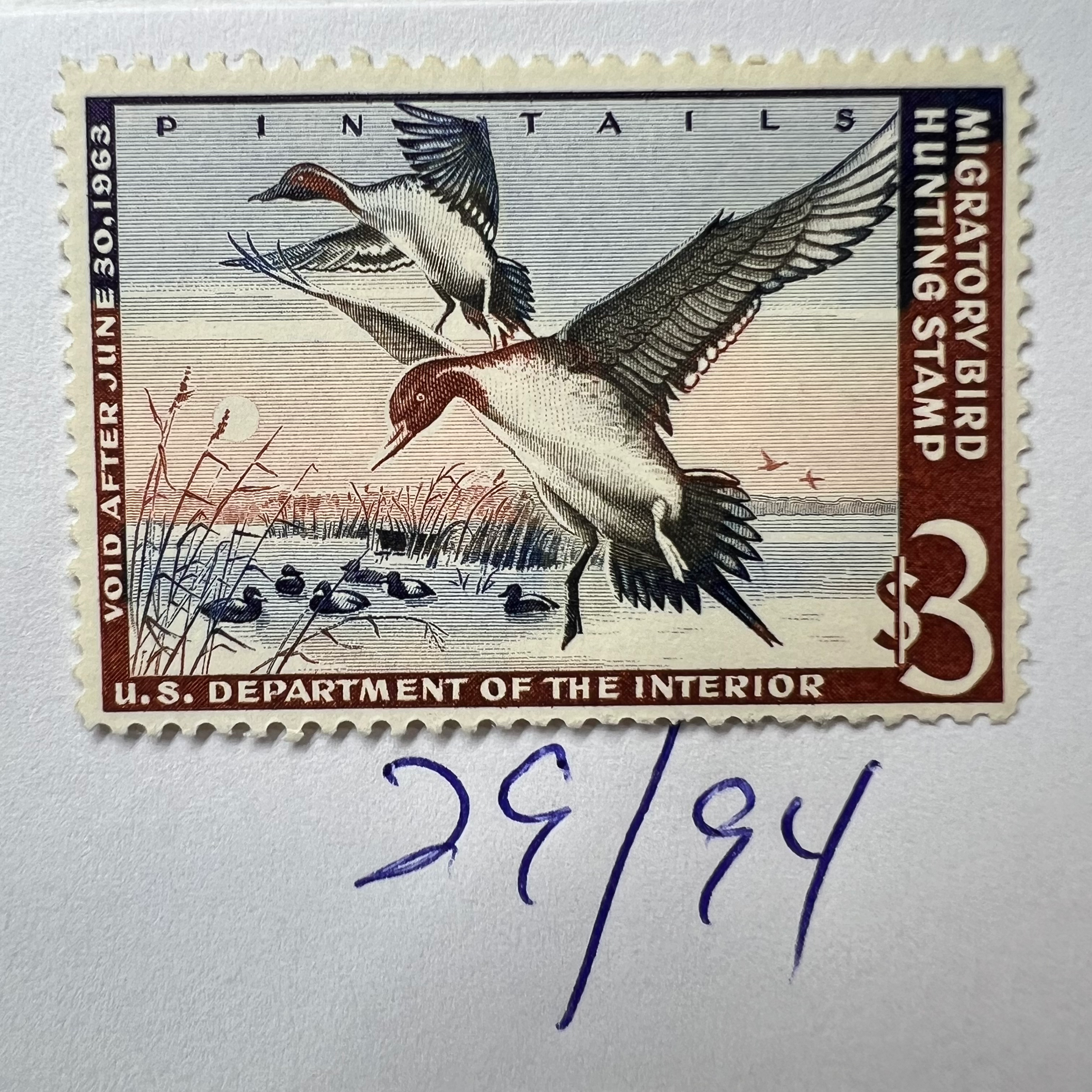 USA Ducks Scott #RW29