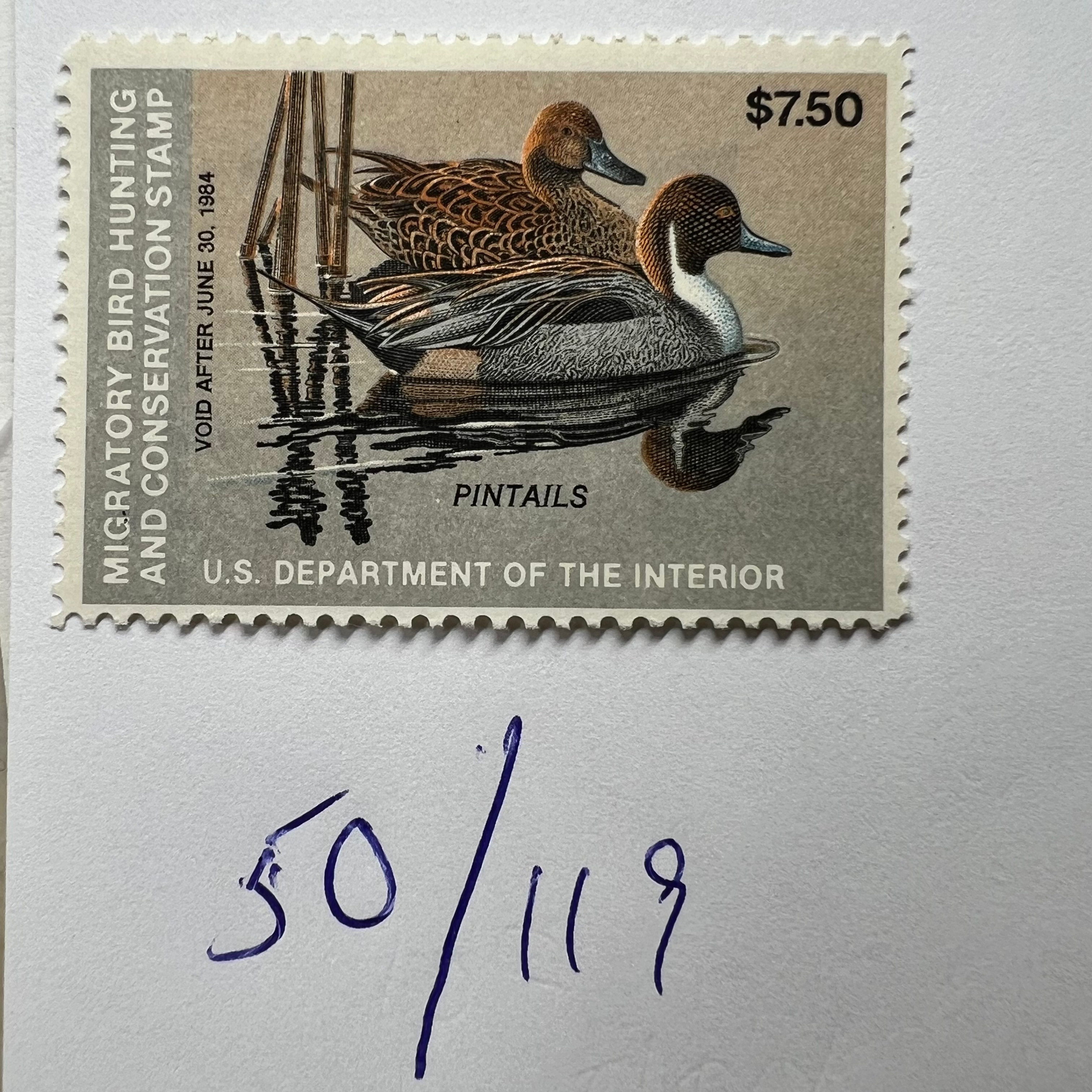 USA Ducks Scott #RW50