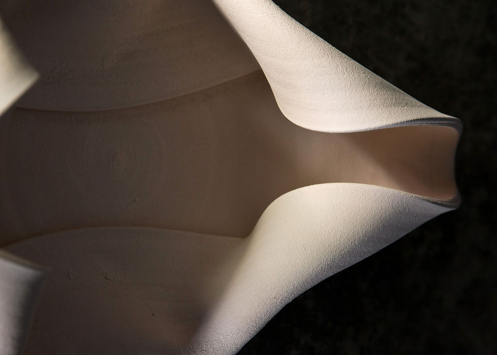 Fold Study 1