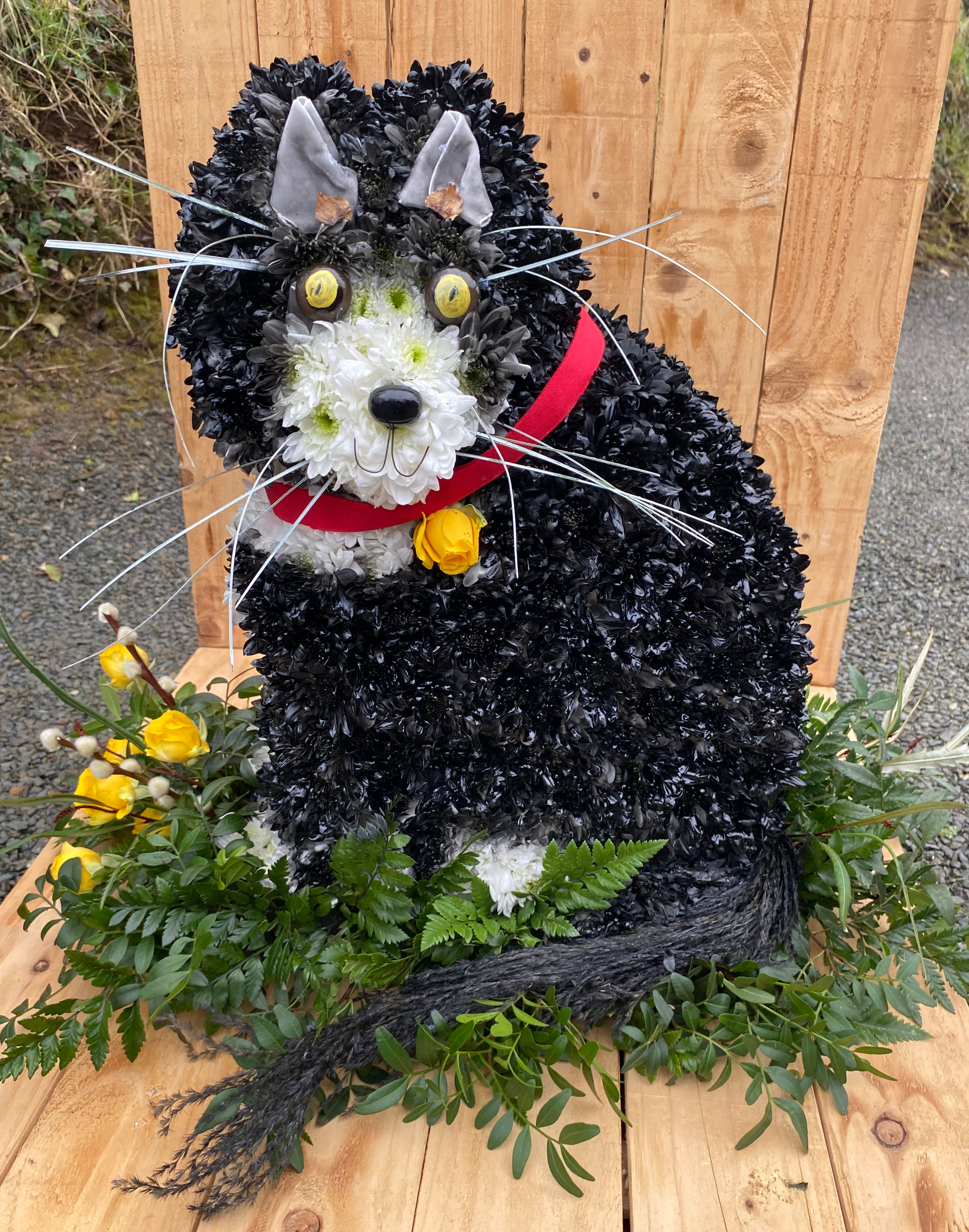 3D sitting Cat Tribute