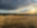 Strategic Marketing for Visionary Growth