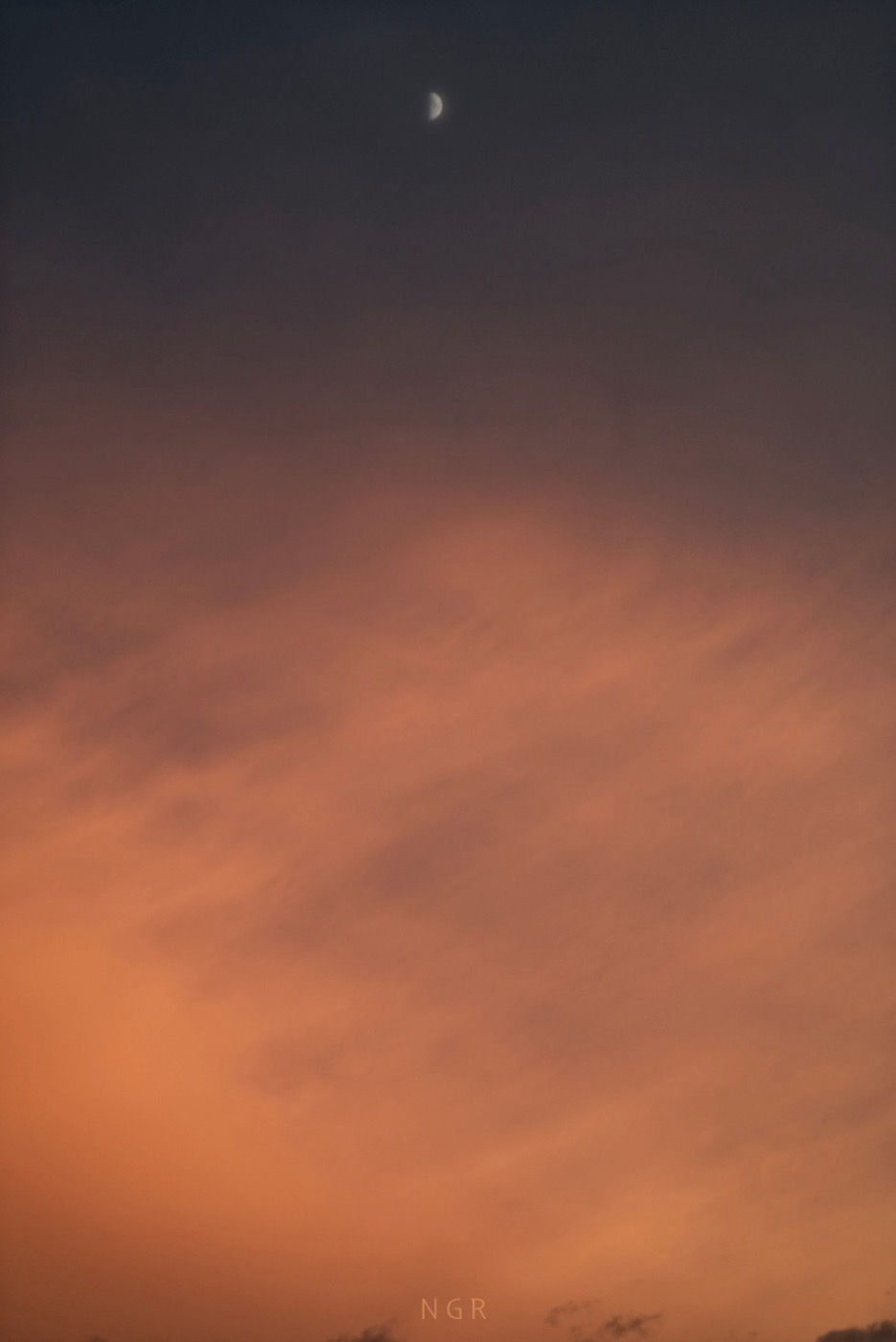 Baja Series by NG — 05.40