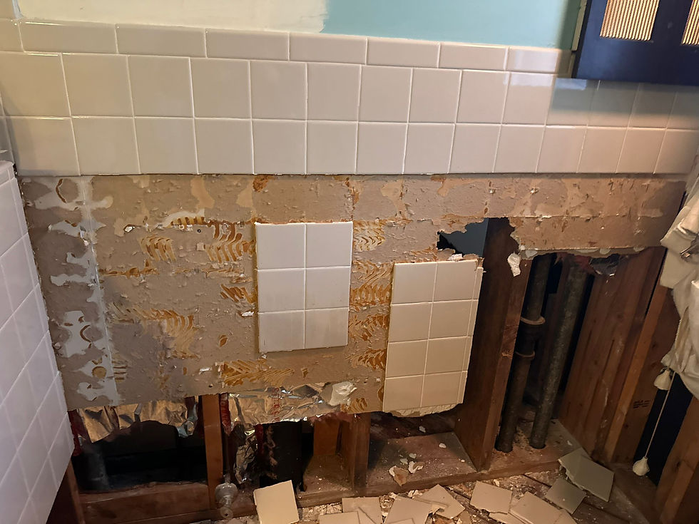 WhatsApp Image 2024-12-03 at 5.03.20 PM.jpeg