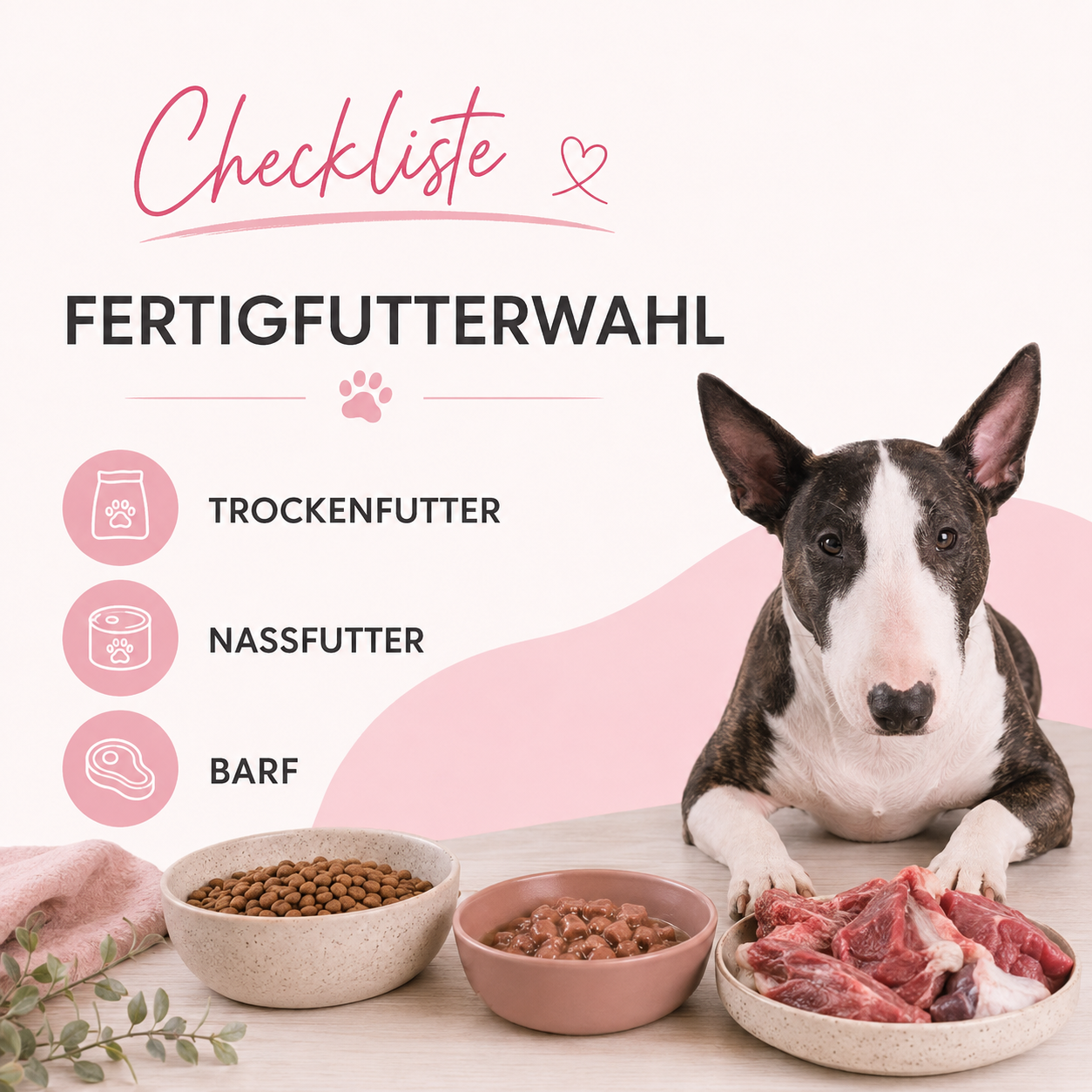 Checkliste - Fertigfutterwahl