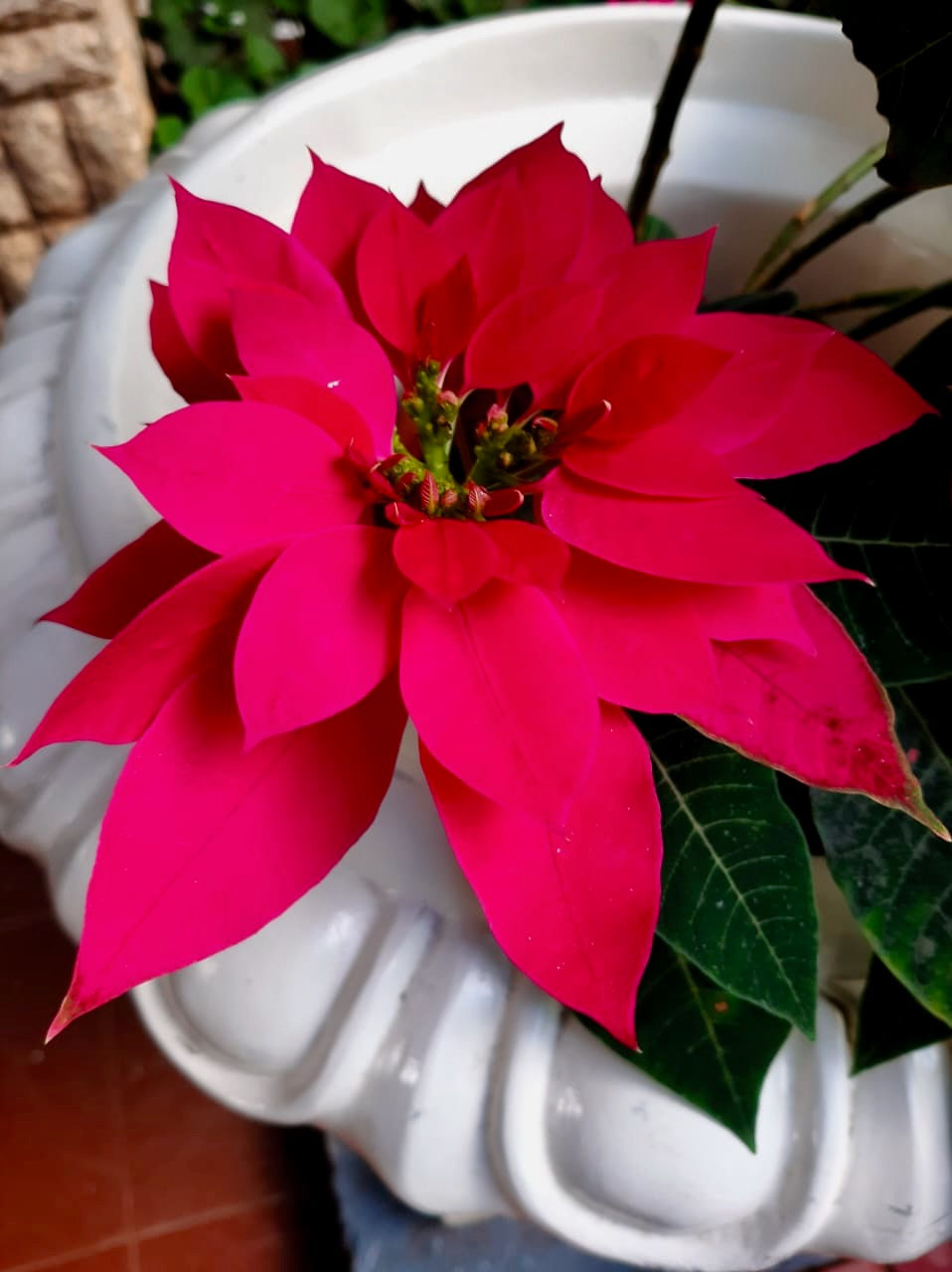IMG-20191018-WA0061