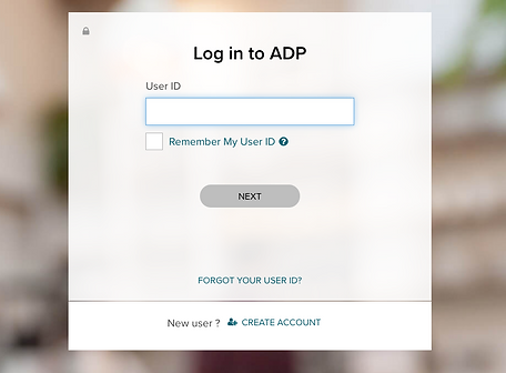 Screen Shot 2022-01-06 at 12.31.29 PM.png