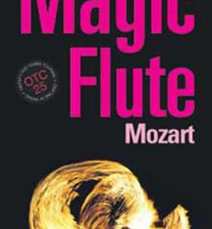 Dublin Mozart Magic Flute outdoor advertising banners Ireland 