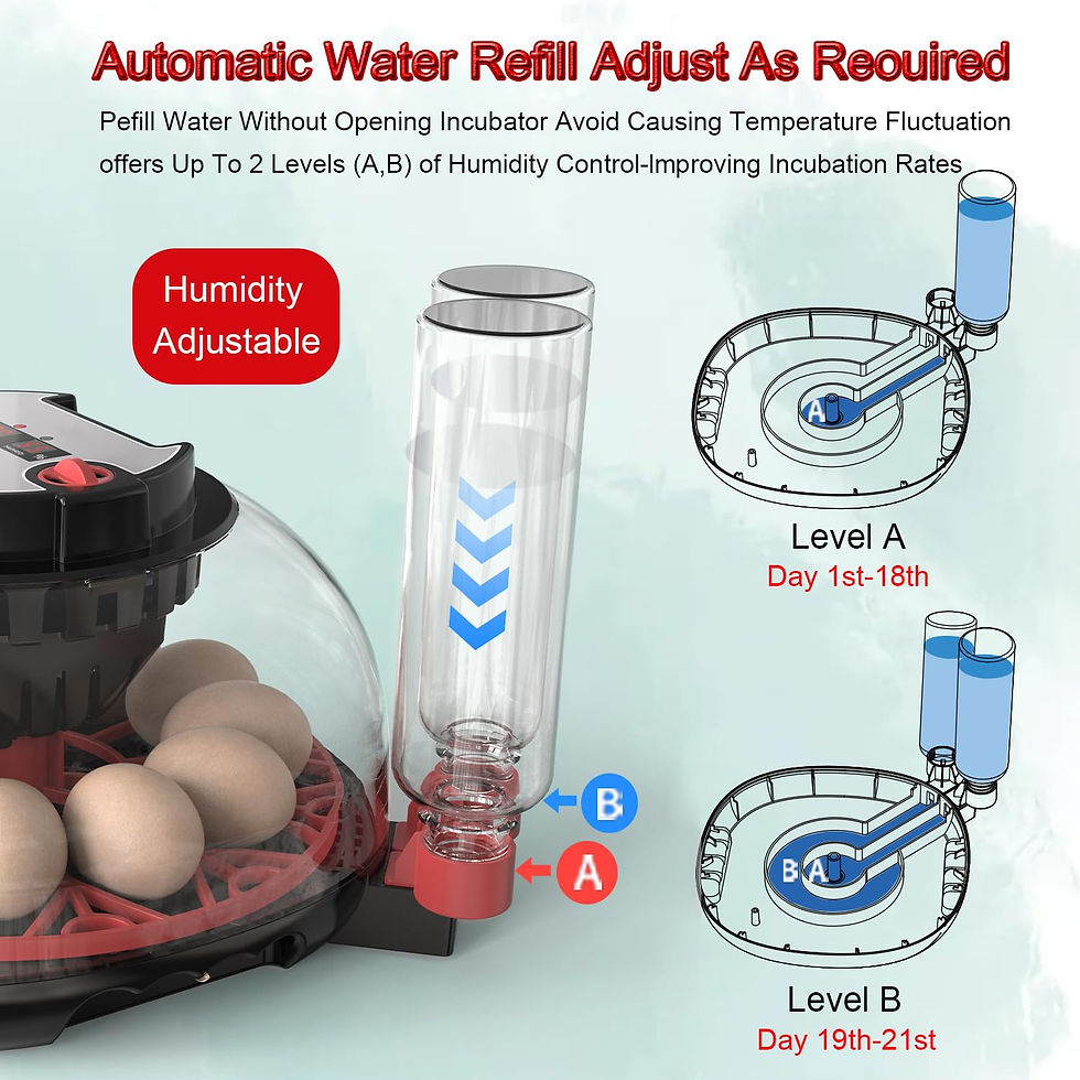 Thumbnail: Automatic Incubator Pro