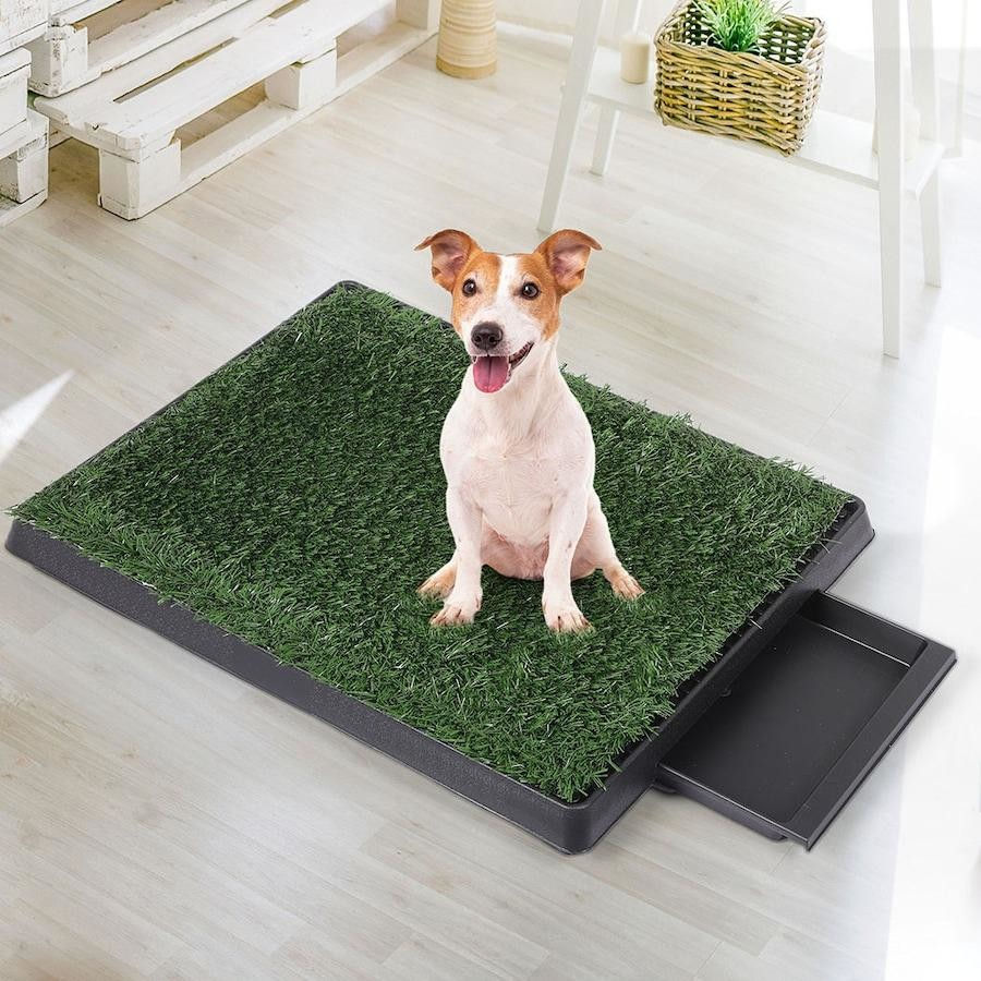 Miniature : Dog Grass Toilet