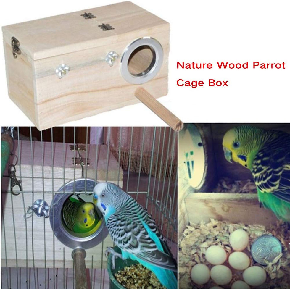 Thumbnail: Bird Nest Box