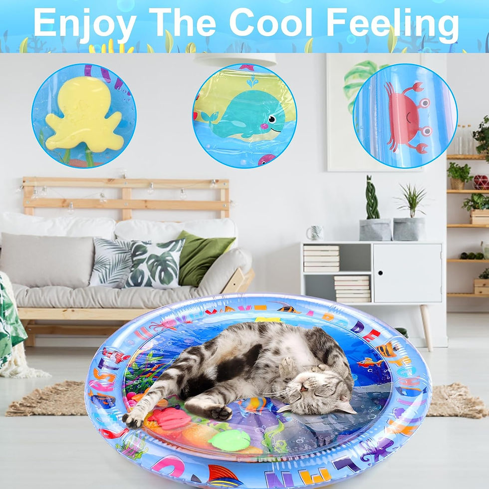 Thumbnail: Water Sensor Cat Playmat
