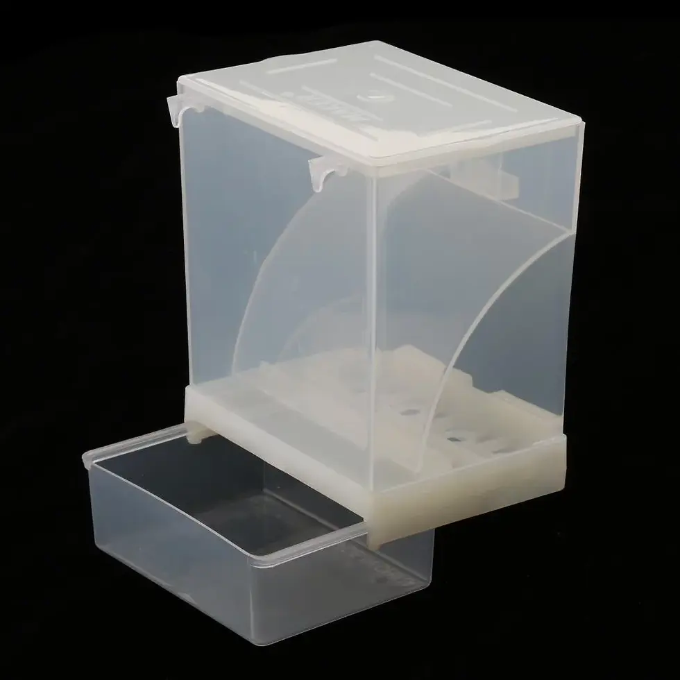 Thumbnail: Anti Spill Bird Feeder