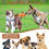 Miniature : Pull Rope Dog Plush