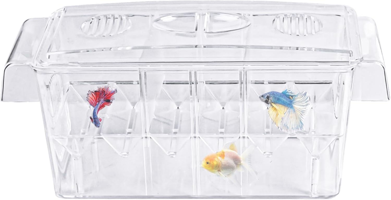 Fish Breeding Box