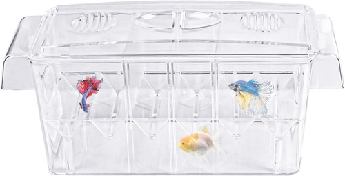 Fish Breeding Box PETSTORE MAURITIUS