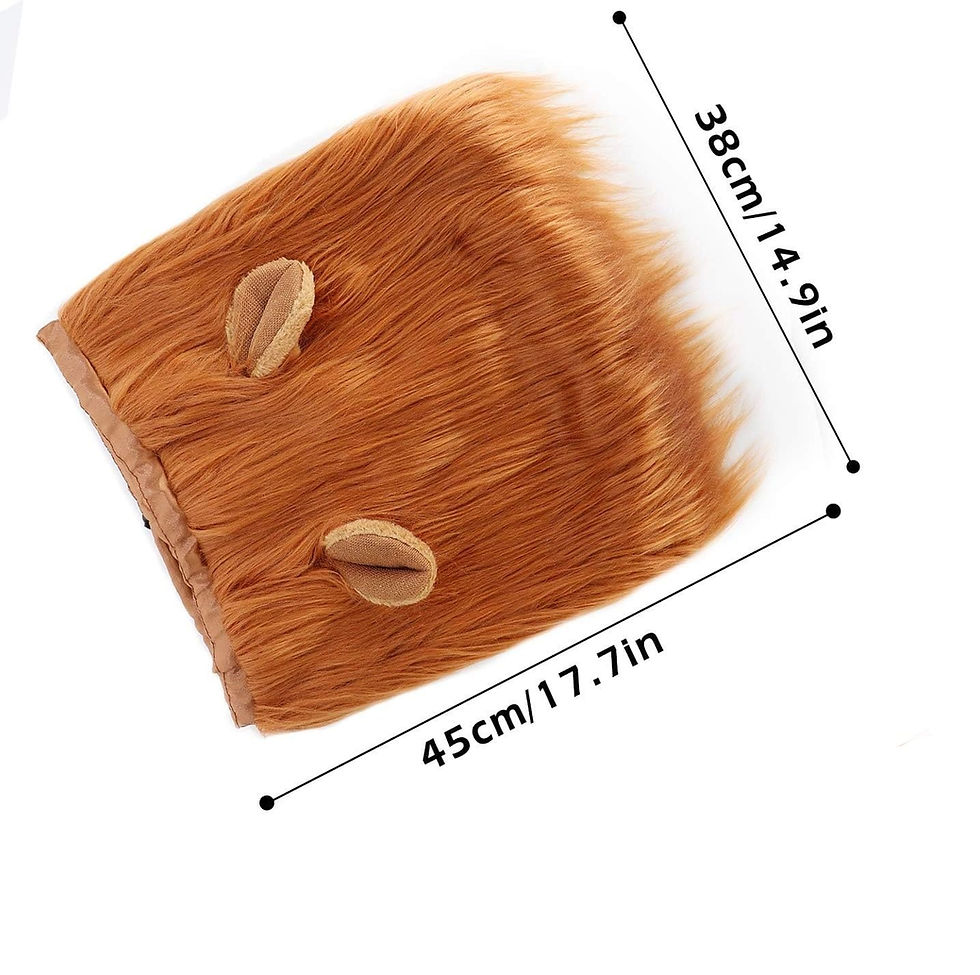 Thumbnail: Lion Mane Costume