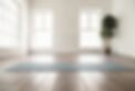 viniyoga2