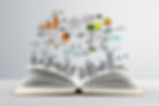 Education Sector