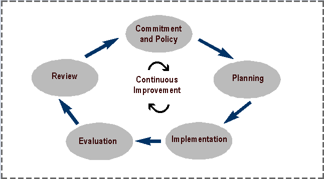 The EMS continuous improvement cycle