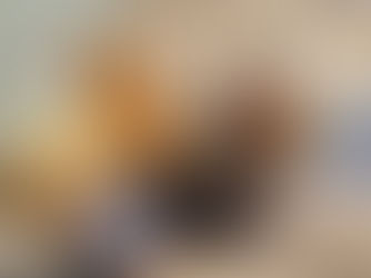 東京八王子北ロータリークラブ様からご寄付を頂きました！