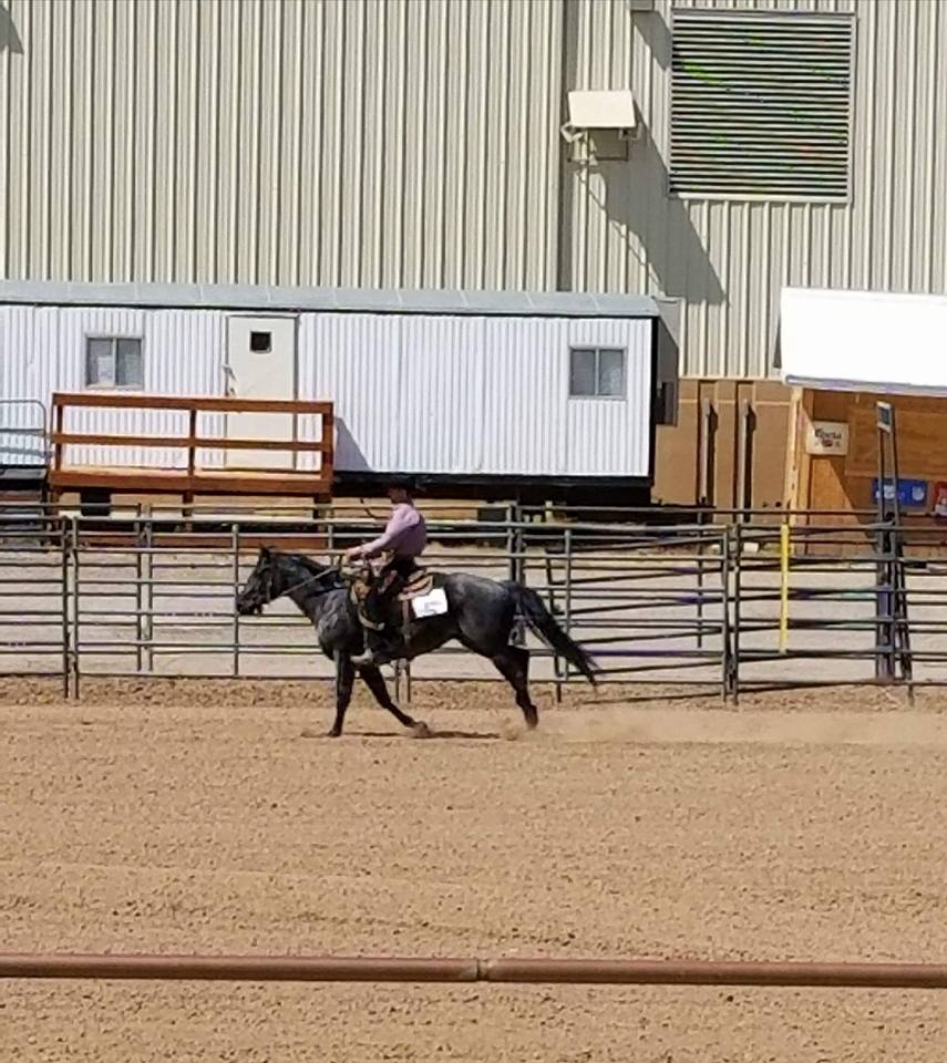 Ranching Heritage sdqha