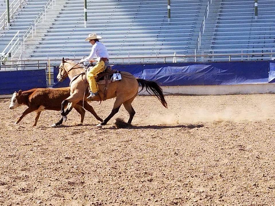 Ranching Heritage sdqha