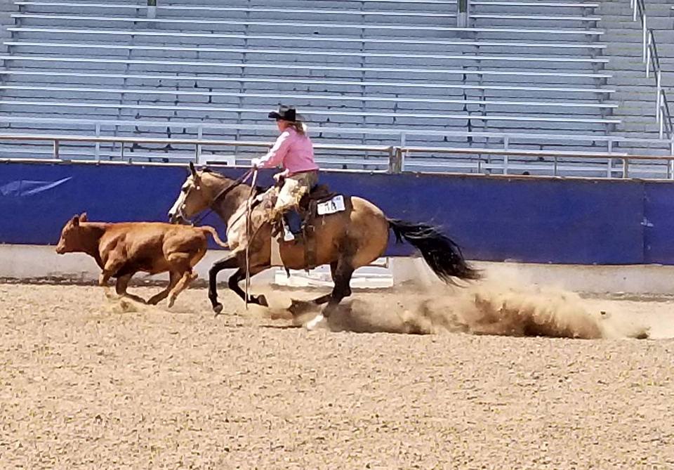 Ranching Heritage sdqha