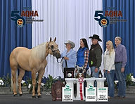 75 Year Cumulative Breeder_Raymond Sutton Ranch.jpg