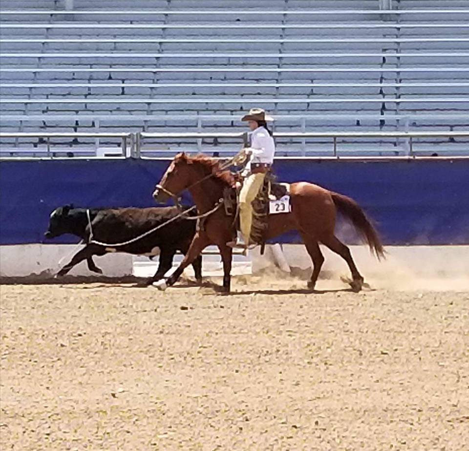 Ranching Heritage sdqha