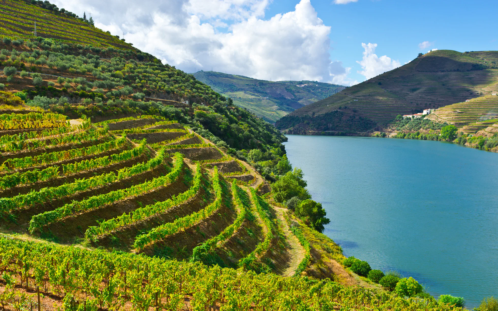 port-douro.webp