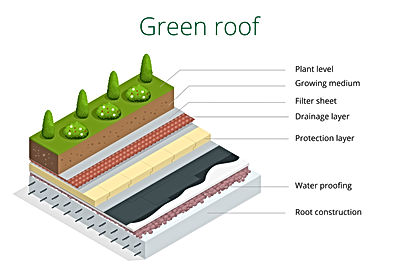 grenn roof detail 2.jpg