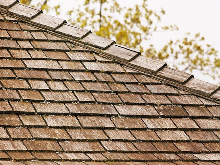 Why are homeowners going away from using cedar shingles?