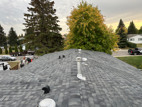 What are shingle roofs?